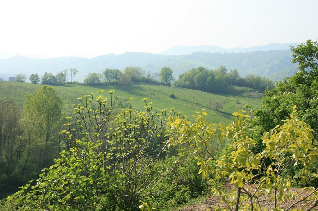 Casa Dell' Abbondanza B&B Agriturismo Vigoleno Exterior foto